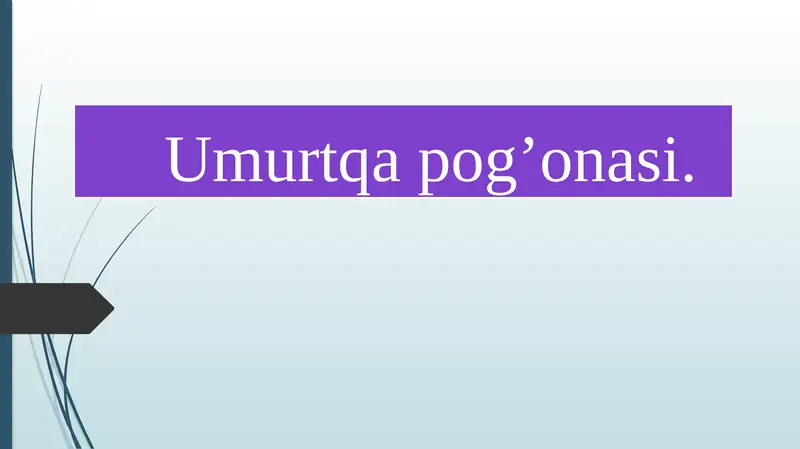 Umurtqa pog’onasi.