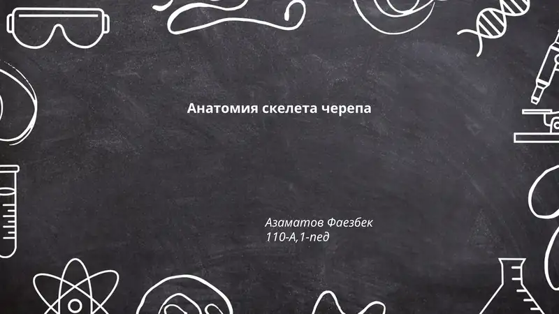 Анатомия скелета черепа