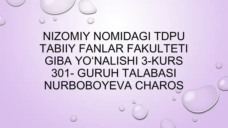 Mavzu: Korxona – tadbirkorlikning tashkiliy ko’rinishi. Korxona mulki va uning manbalari