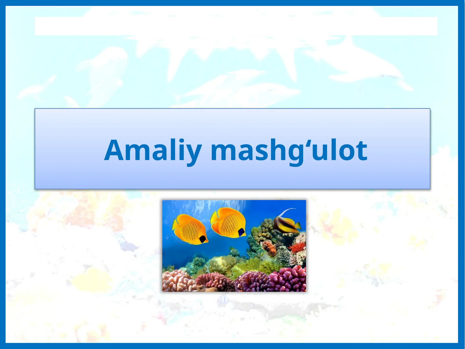 Amaliy mashg‘ulot