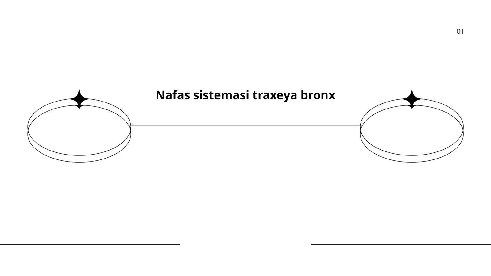 Nafas sistemasi traxeya bronx