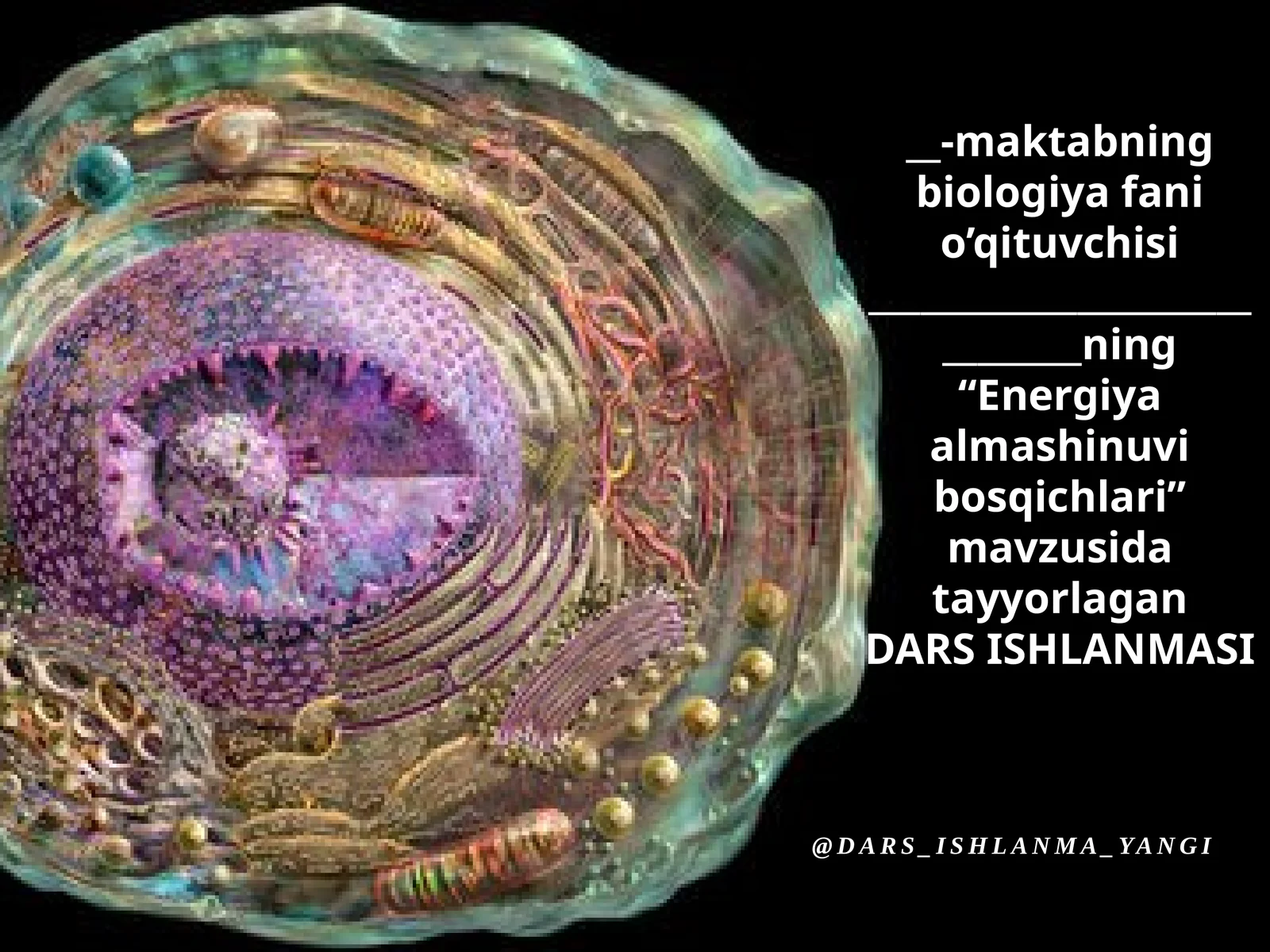 Energiya almashinuvi bosqichlari