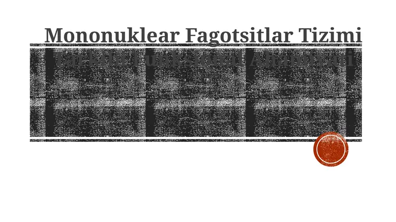 Mononuklear Fagotsitlar Tizimi Tarkibi Funksional Ahamiyati