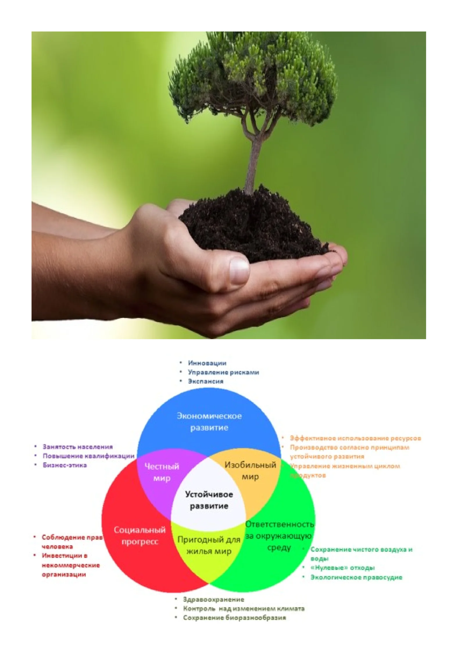 Экология наряду