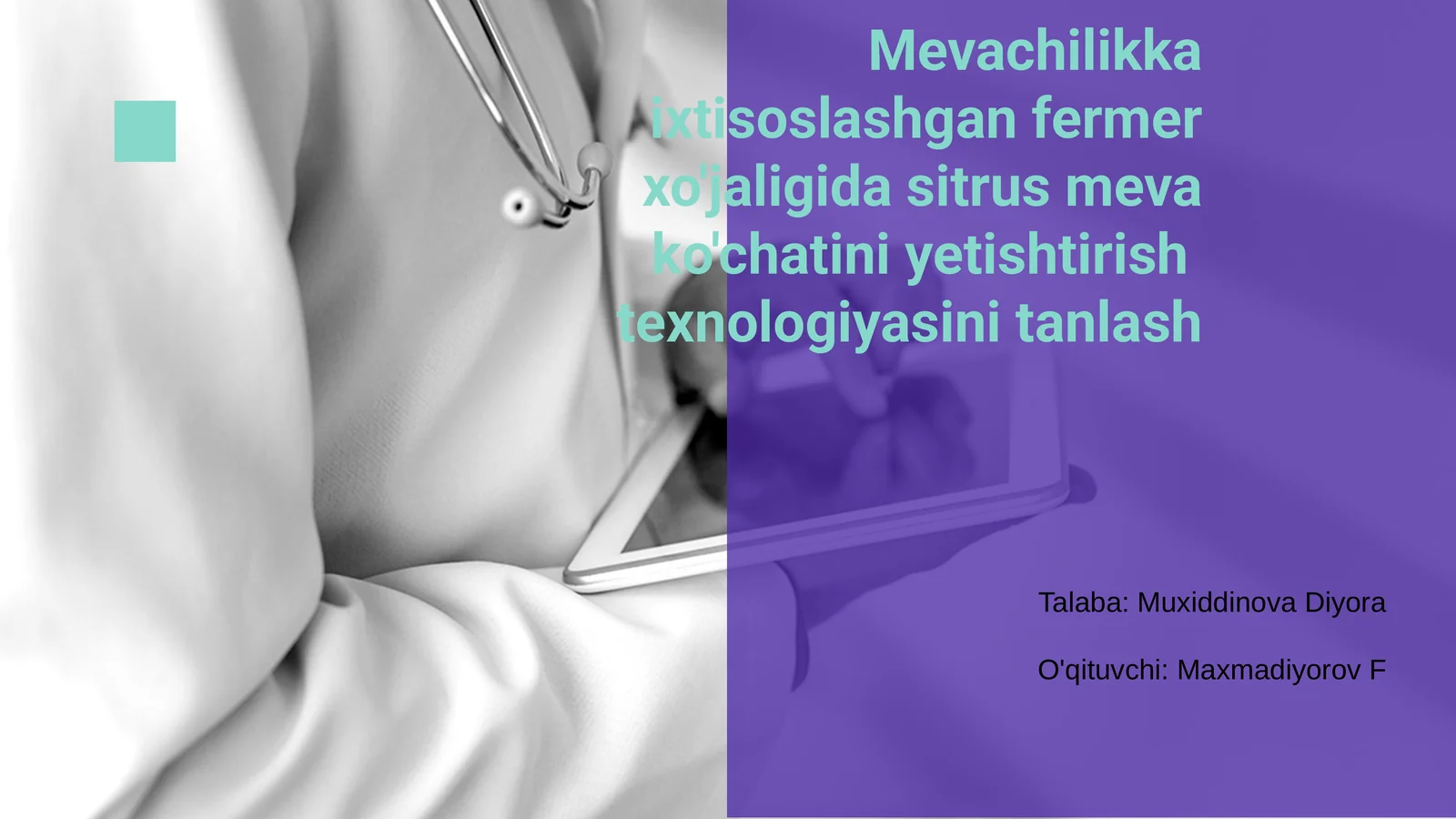 Mevachilikka ixtisoslashgan fermer xo'jaligida sitrus meva ko'chatini yetishtirish texnologiyasini tanlash