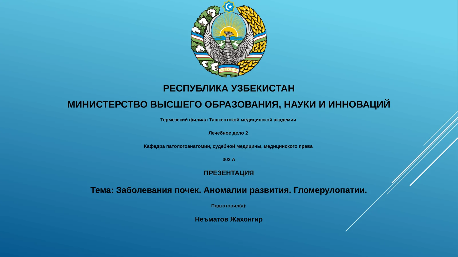 Лечебное дело 2