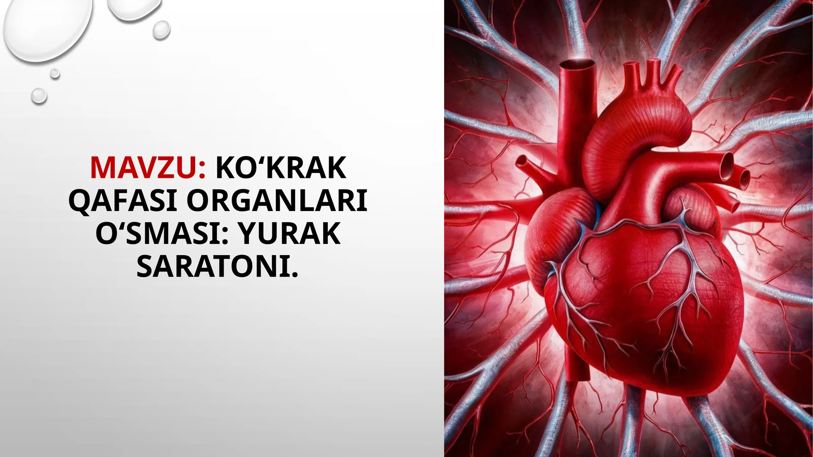 Ko‘krak qafasi organlari o‘smasi: yurak saratoni