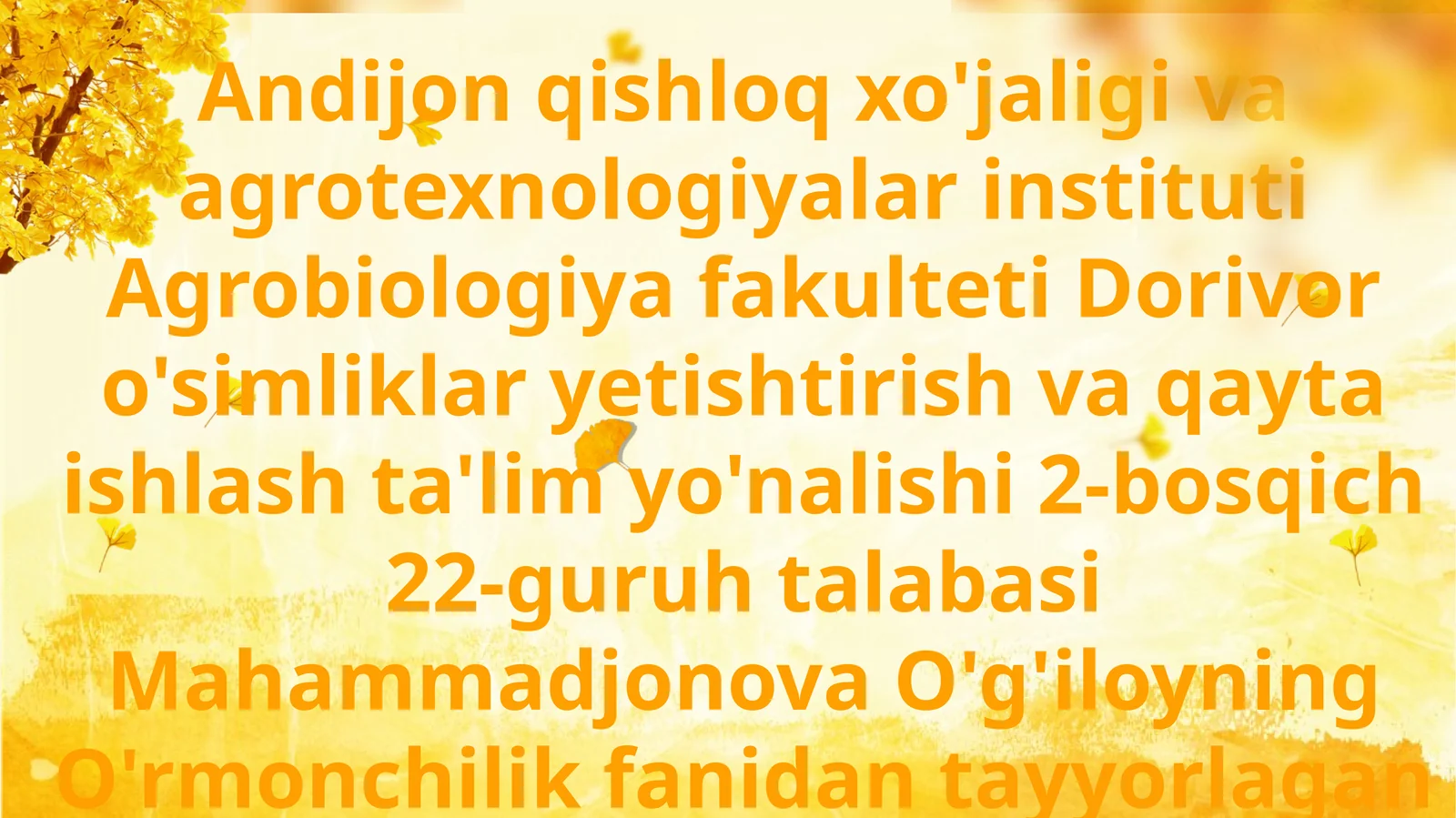 O'rmonning gidrologik ahamiyati