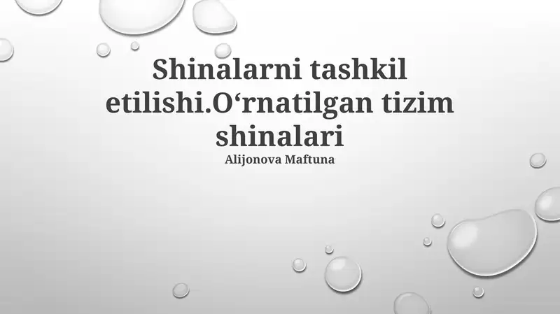 O'rnatilgan Avtobus Tizimlari