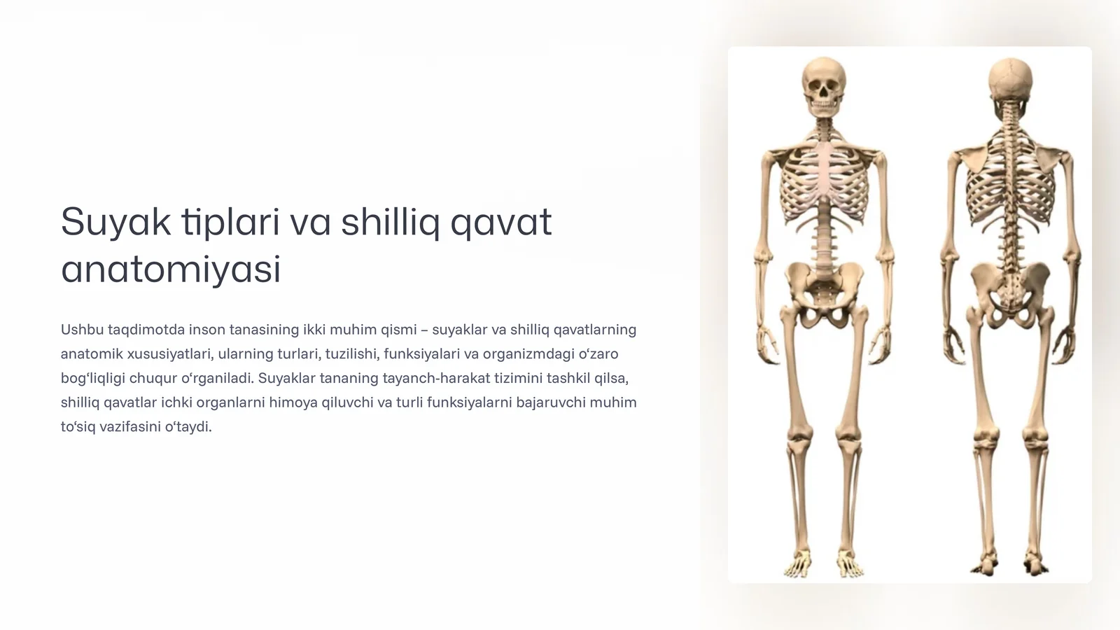 Suyak tiplari va shilliq qavat anatomiyasi