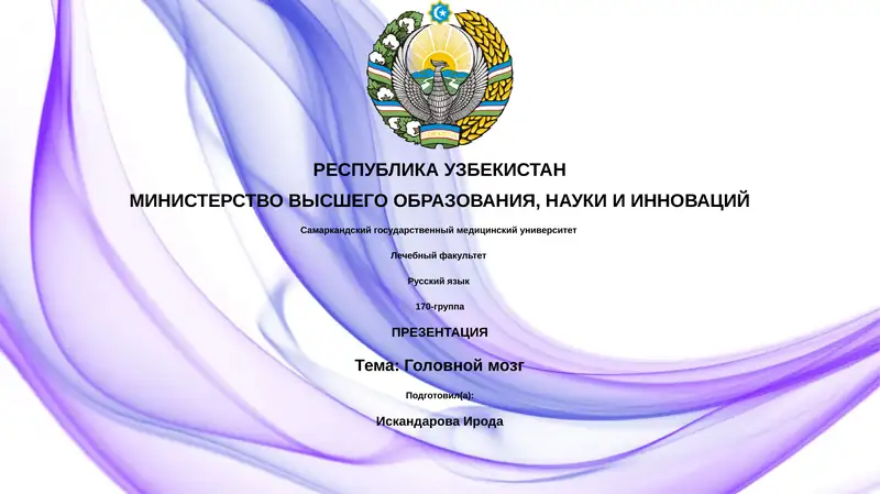 Головной мозг