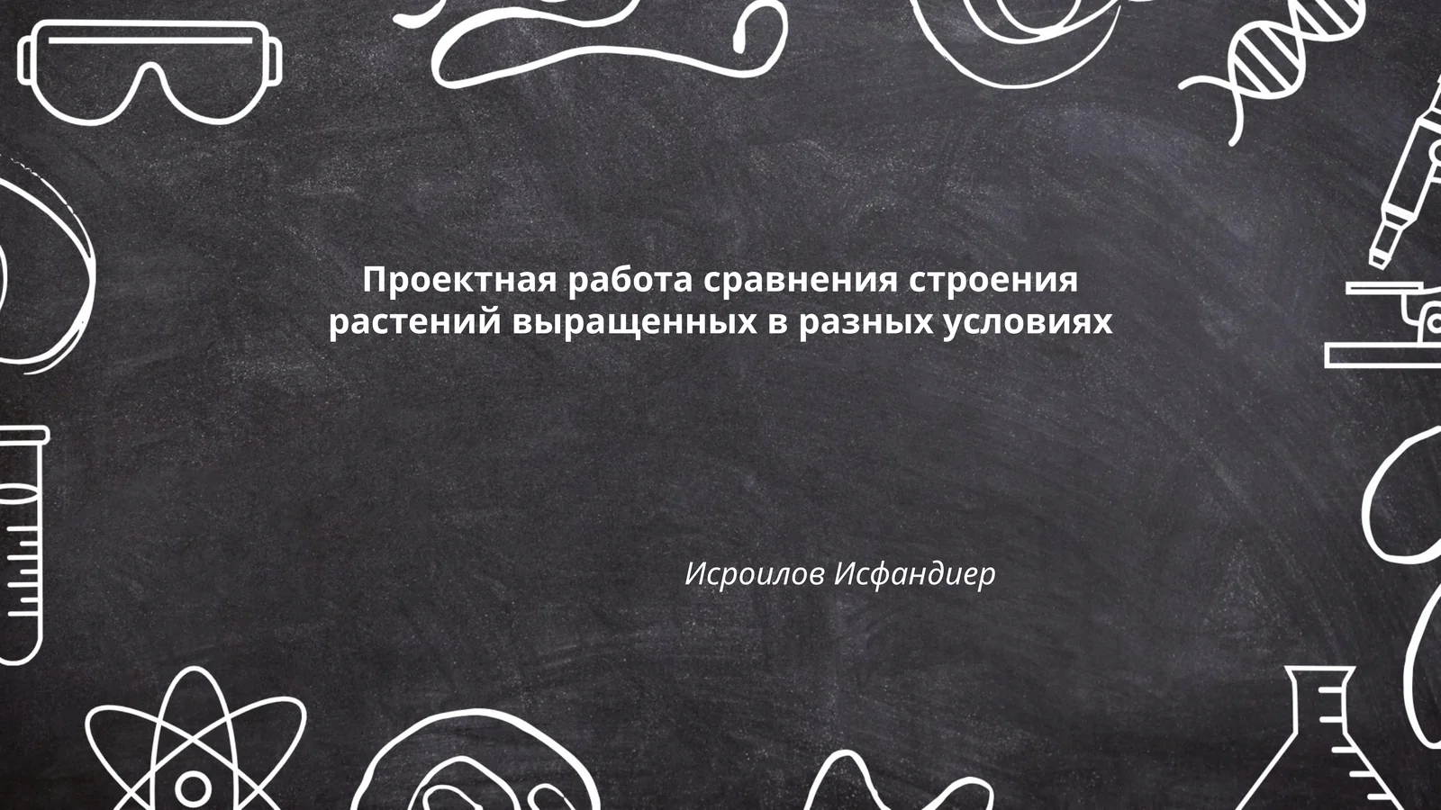 Проектная работа сравнения строения растений выращенных в разных условиях