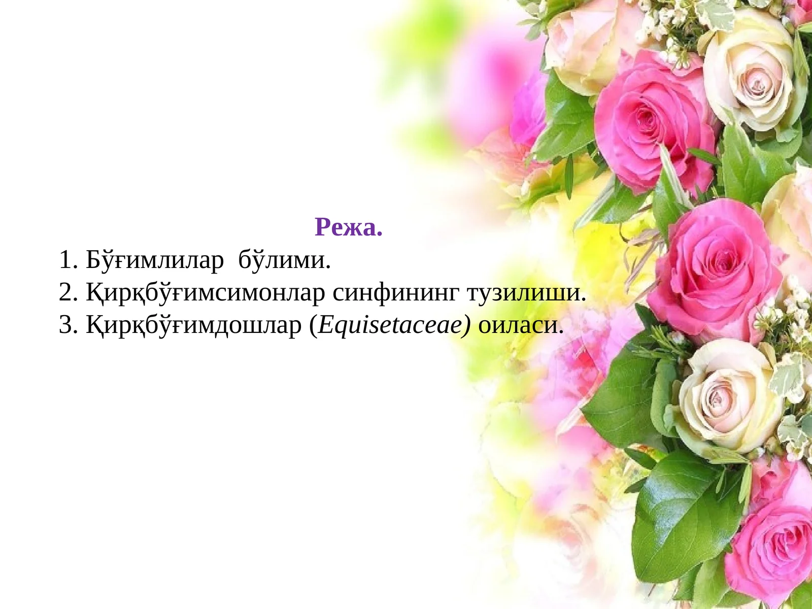 EQUISETACEAE(Қирқбўғимдошлар) оиласи