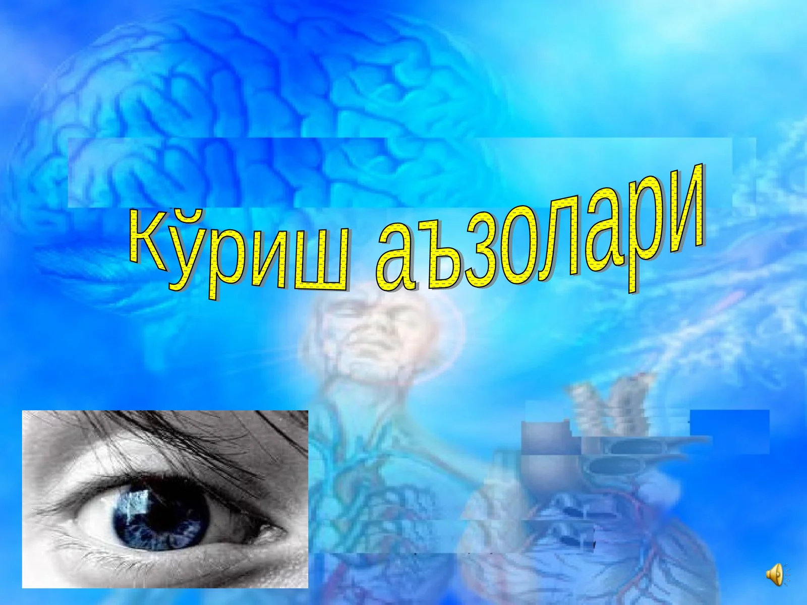 Кўриш аъзолари