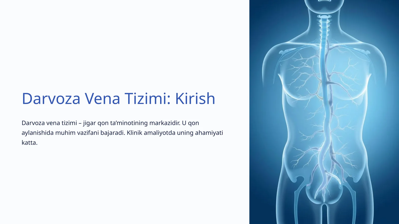 Darvoza Vena Tizimi: Kirish