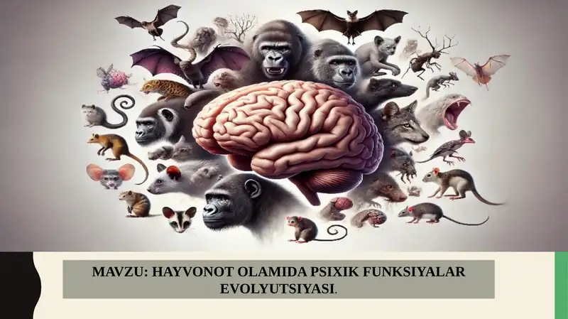 HAYVONOT OLAMIDA PSIXIK FUNKSIYALAR EVOLYUTSIYASI