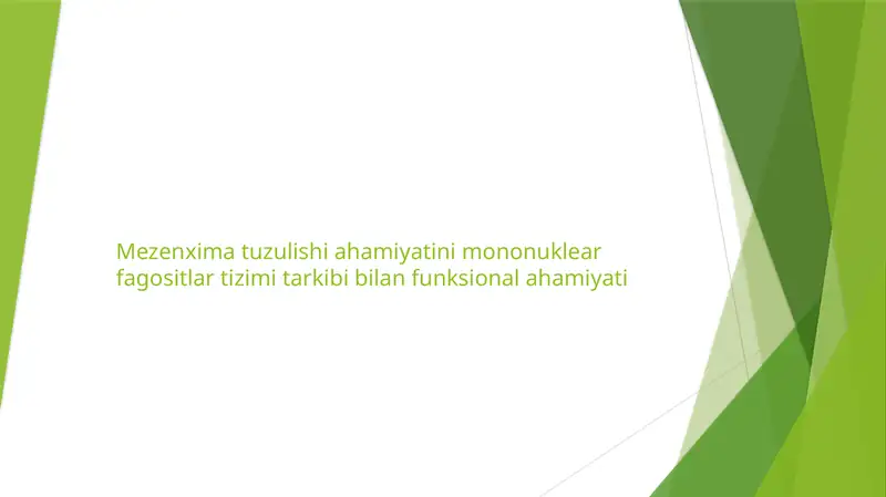 Mezenxima tuzulishi ahamiyatini mononuklear fagositlar tizimi tarkibi bilan funksional ahamiyati