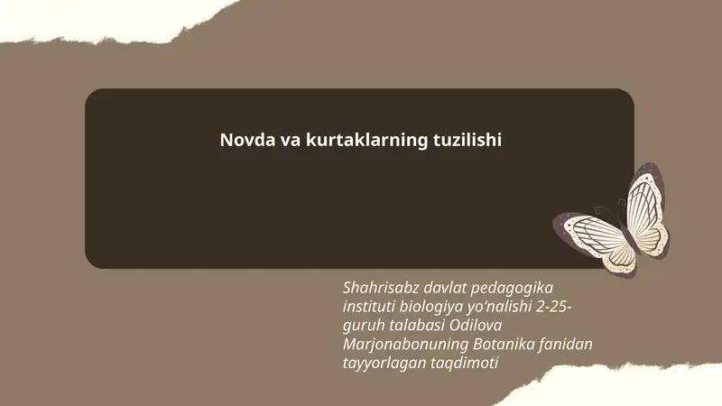 Novda va kurtaklarning tuzilishi
