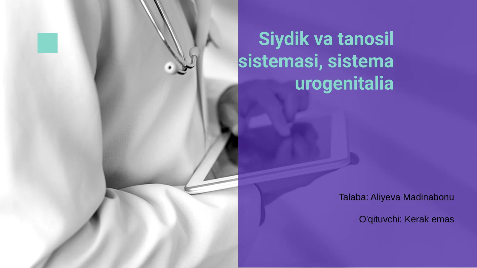 Siydik va tanosil sistemasi, sistema urogenitalia