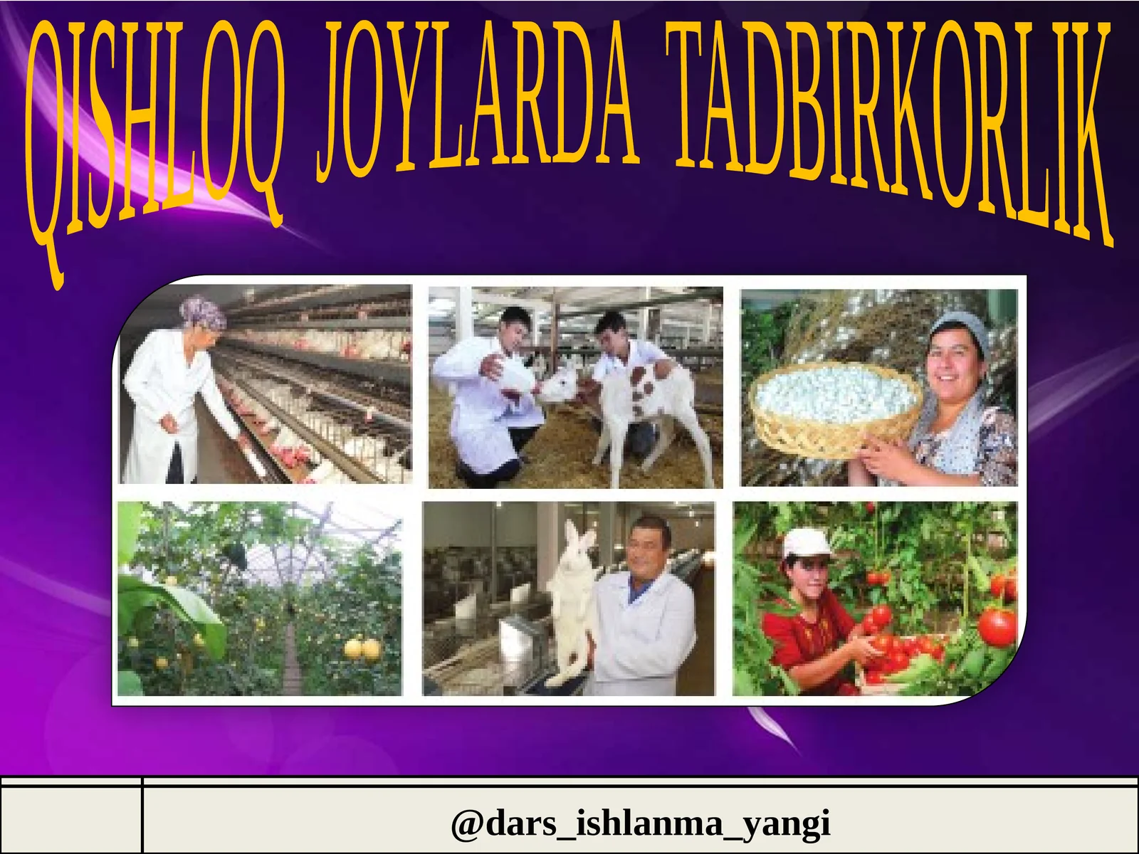 QISHLOQ JOYLARDA TADBIRKORLIK