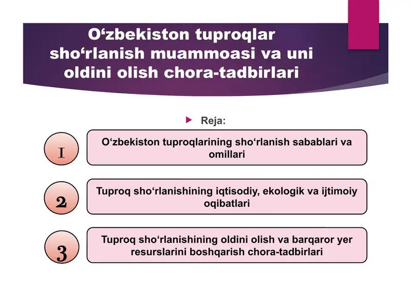 O‘zbekiston tuproqlar sho‘rlanish muammoasi va uni oldini olish chora-tadbirlari