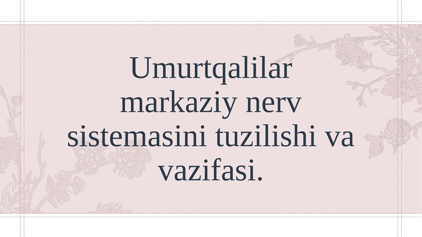 Umurtqalilar markaziy nerv sistemasini tuzilishi va vazifasi.