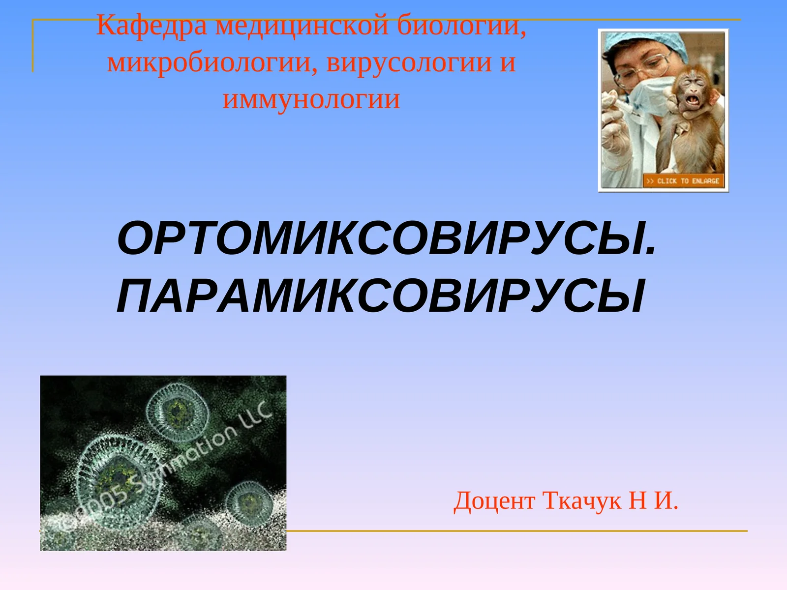 ОРТОМИКСОВИРУСЫ. ПАРАМИКСОВИРУСЫ