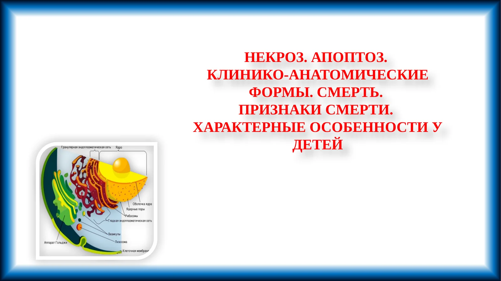 НЕКРОЗ. АПОПТОЗ. КЛИНИКО-АНАТОМИЧЕСКИЕ ФОРМЫ. СМЕРТЬ. ПРИЗНАКИ СМЕРТИ. ХАРАКТЕРНЫЕ ОСОБЕННОСТИ У ДЕТЕЙ