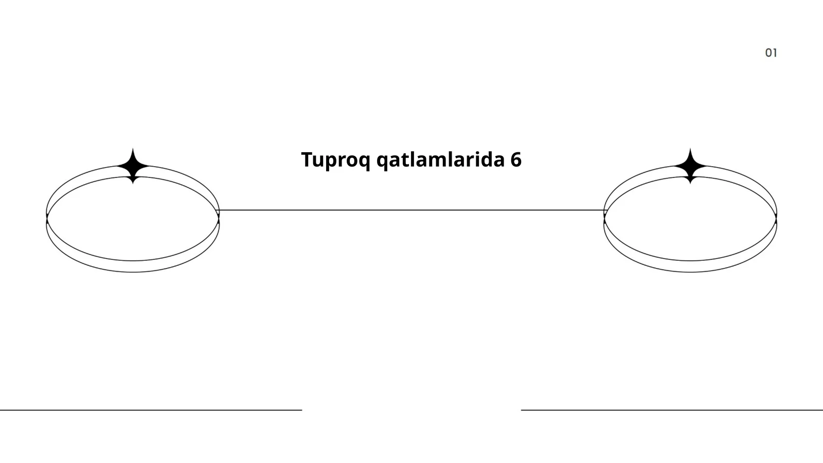 Tuproq qatlamlarida 6