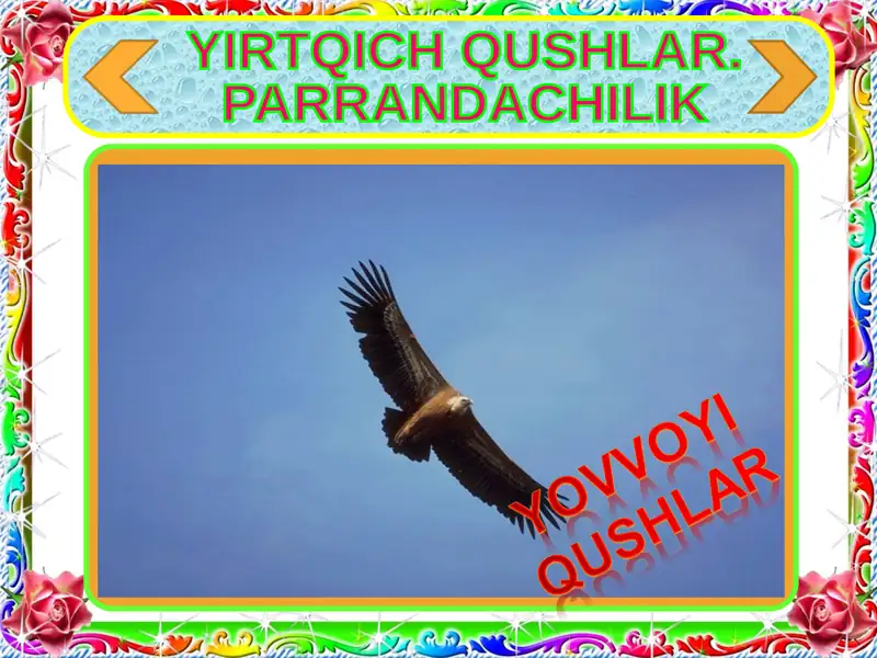 YIRTQICH QUSHLAR.  PARRANDACHILIK
