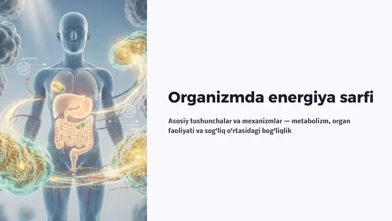 Organizmda energiya sarfi