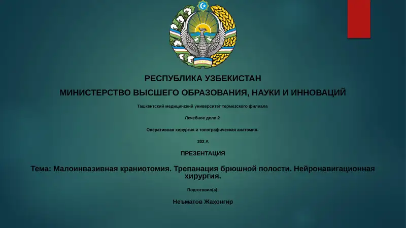 Лечебное дело 2