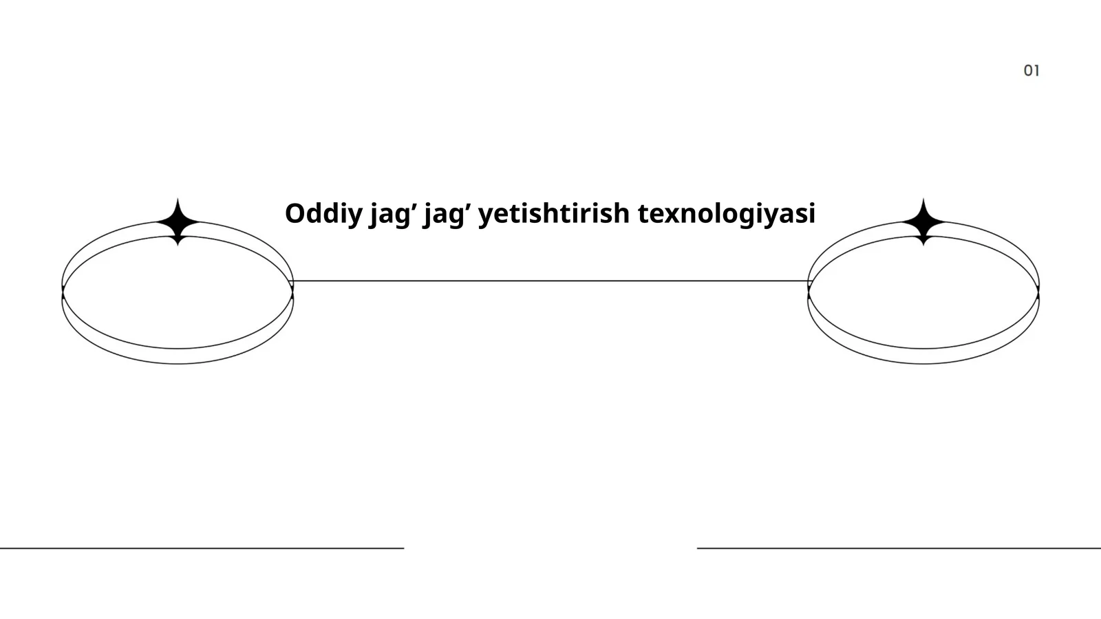 Oddiy jag’ jag’ yetishtirish texnologiyasi