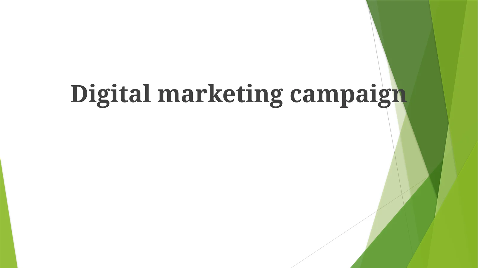 Digital marketing campaign