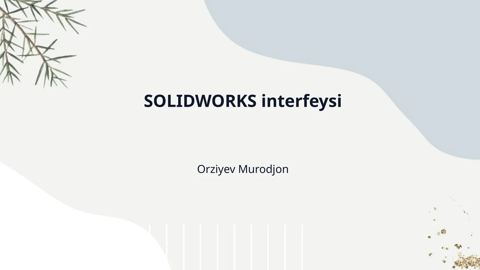 SOLIDWORKS interfeysi