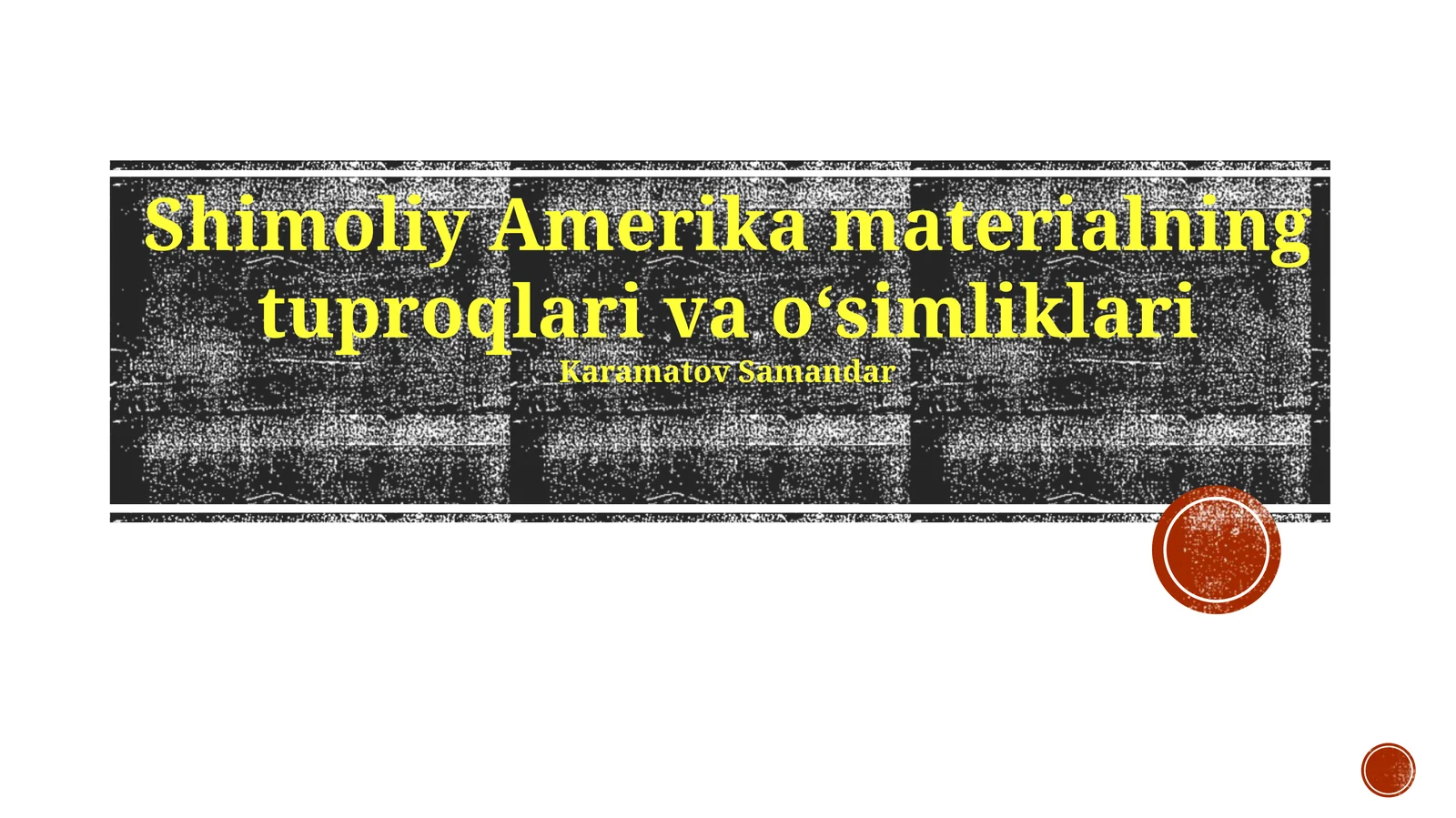 Shimoliy Amerika materialning tuproqlari va oʻsimliklari