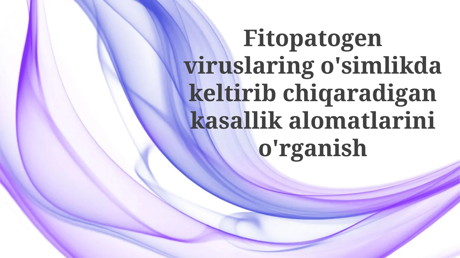 Fitopatogenviruslaringo'simlikdakeltiribchiqaradigankasallikalomatlarinio'rganish