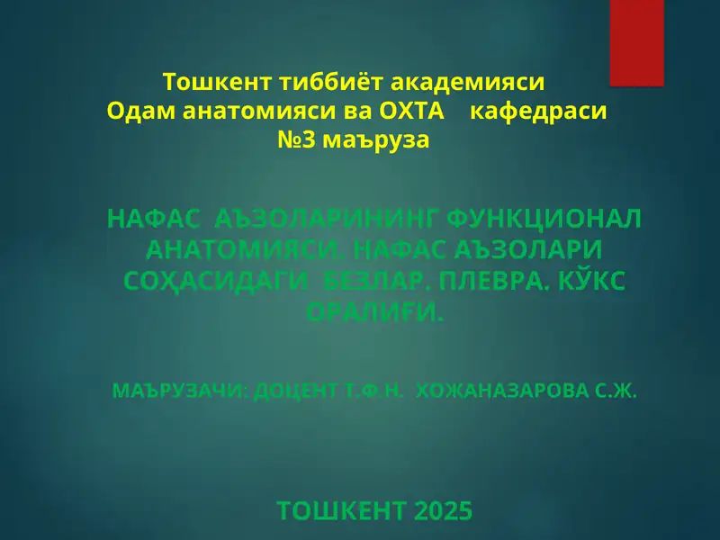 НАФАС АЪЗОЛАРИНИНГ ФУНКЦИОНАЛ АНАТОМИЯСИ