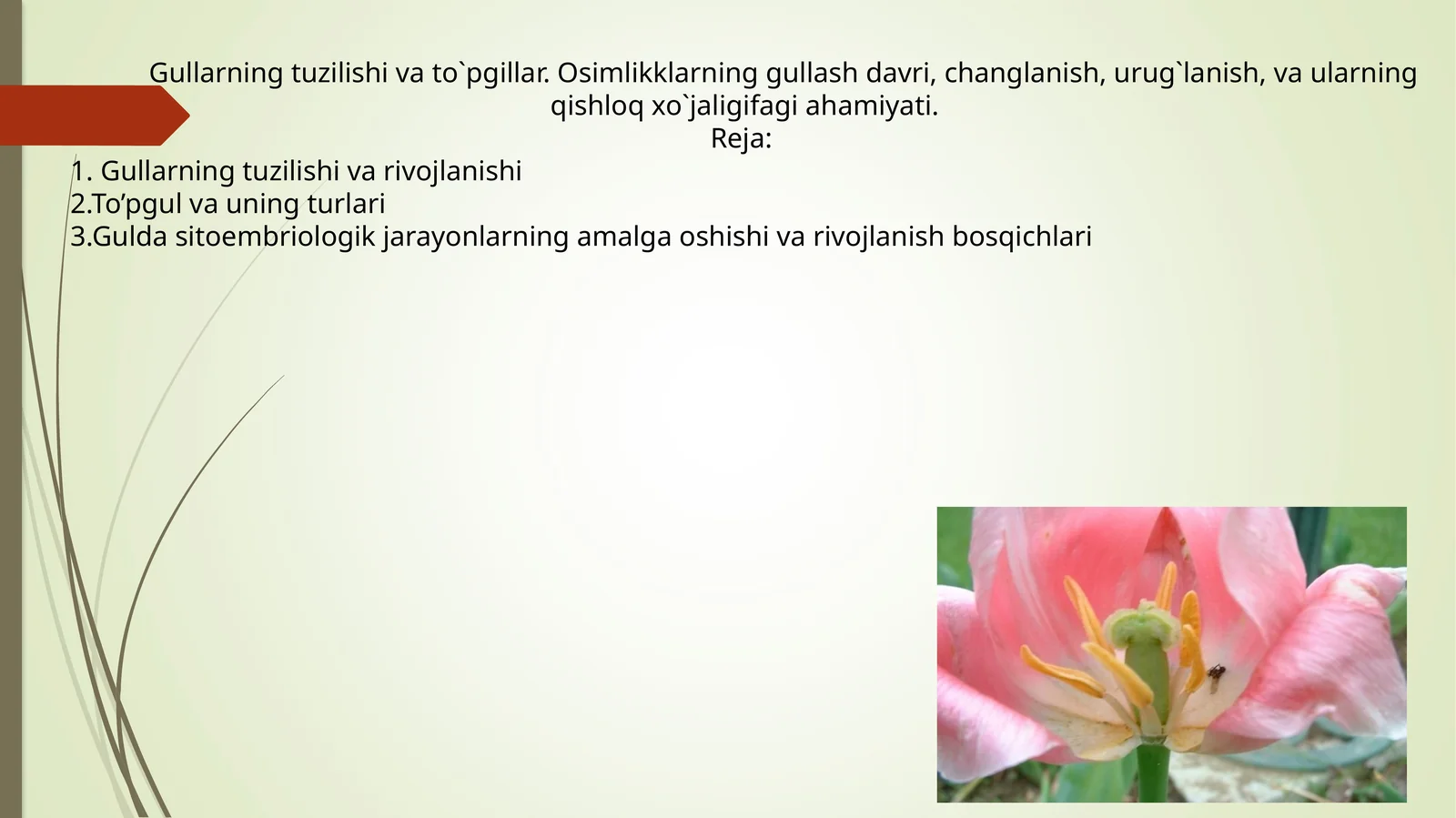 Osimlikklarning gullash davri