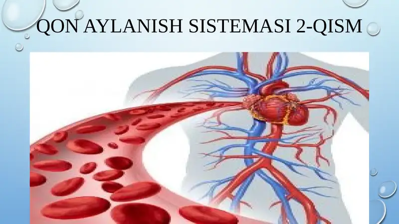 qonaylanishsistemasi2-qism