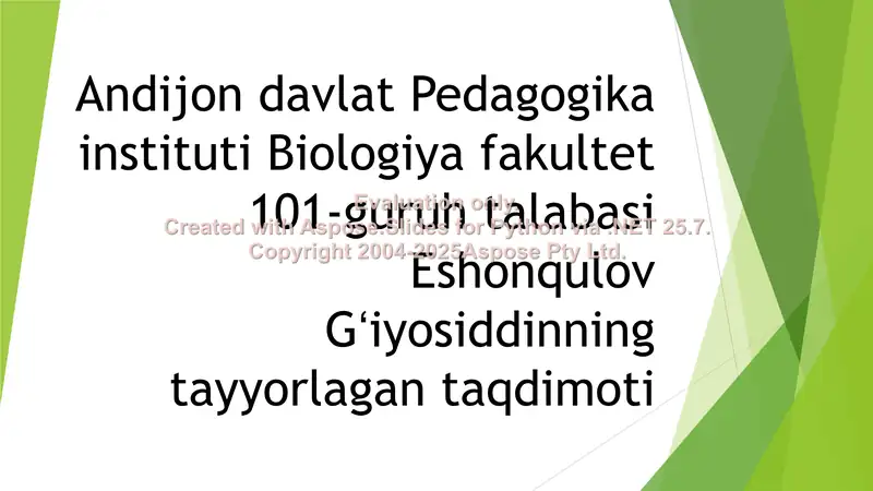 Eshonqulov Gʻiyosiddinning talabasi taqdimoti