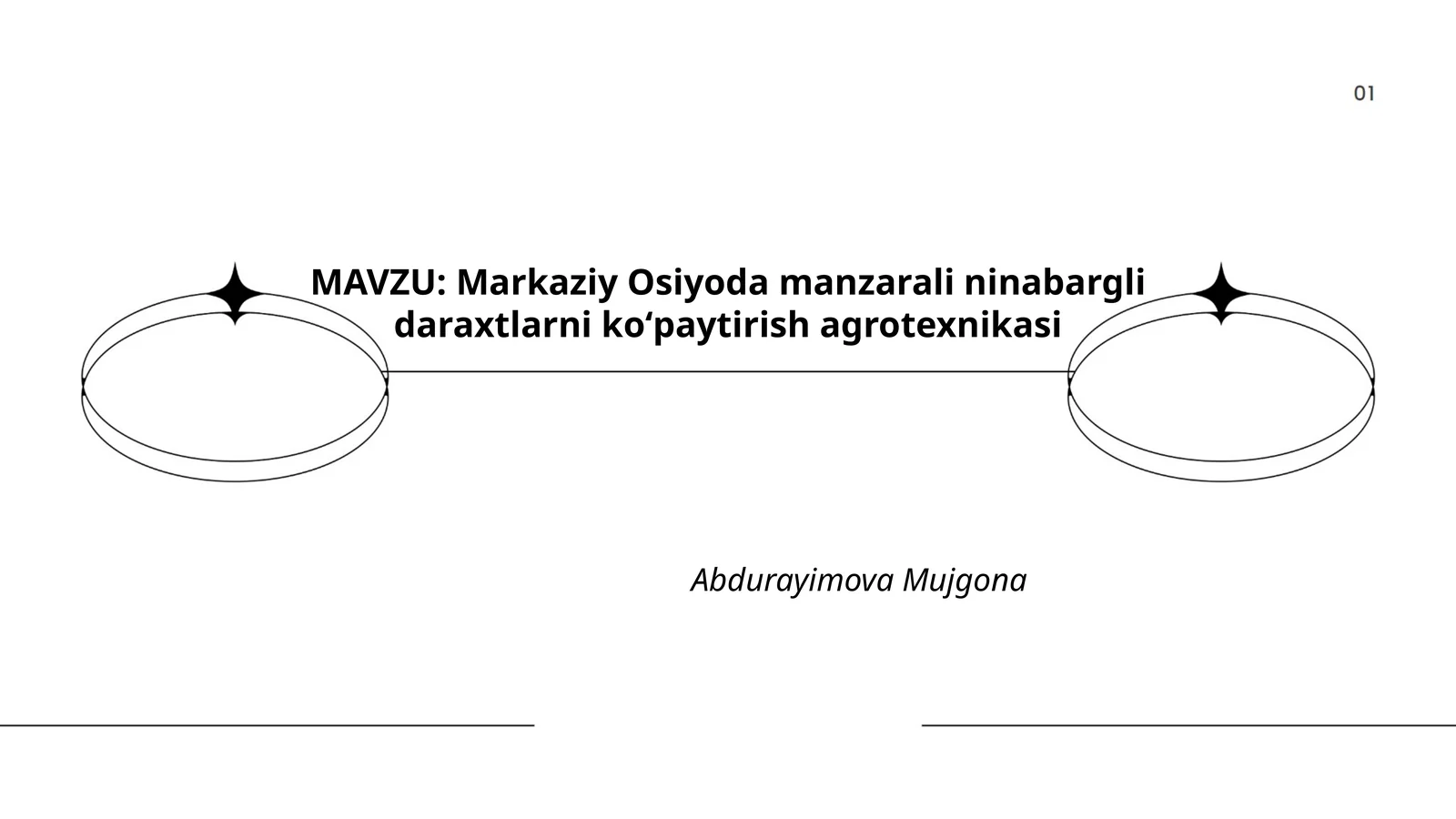 Markaziy Osiyoda manzarali ninabargli daraxtlarni koʻpaytirish agrotexnikasi