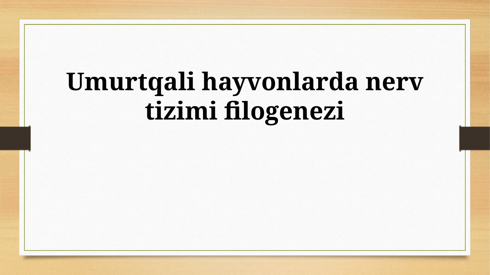 Umurtqali hayvonlarda nerv tizimi filogenezi