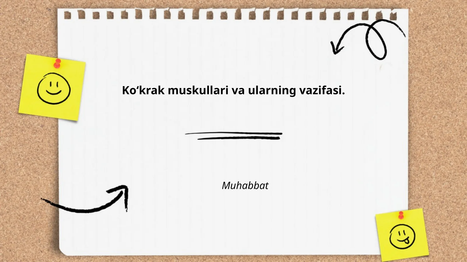 Koʻkrak muskullari va ularning vazifasi