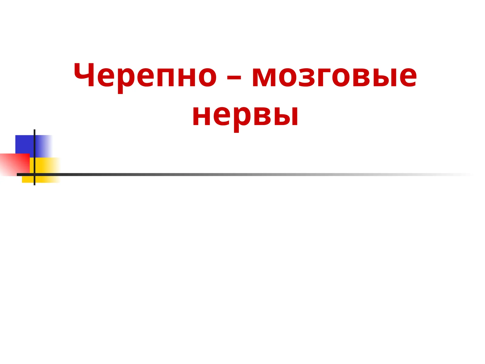 Черепно – мозговые нервы