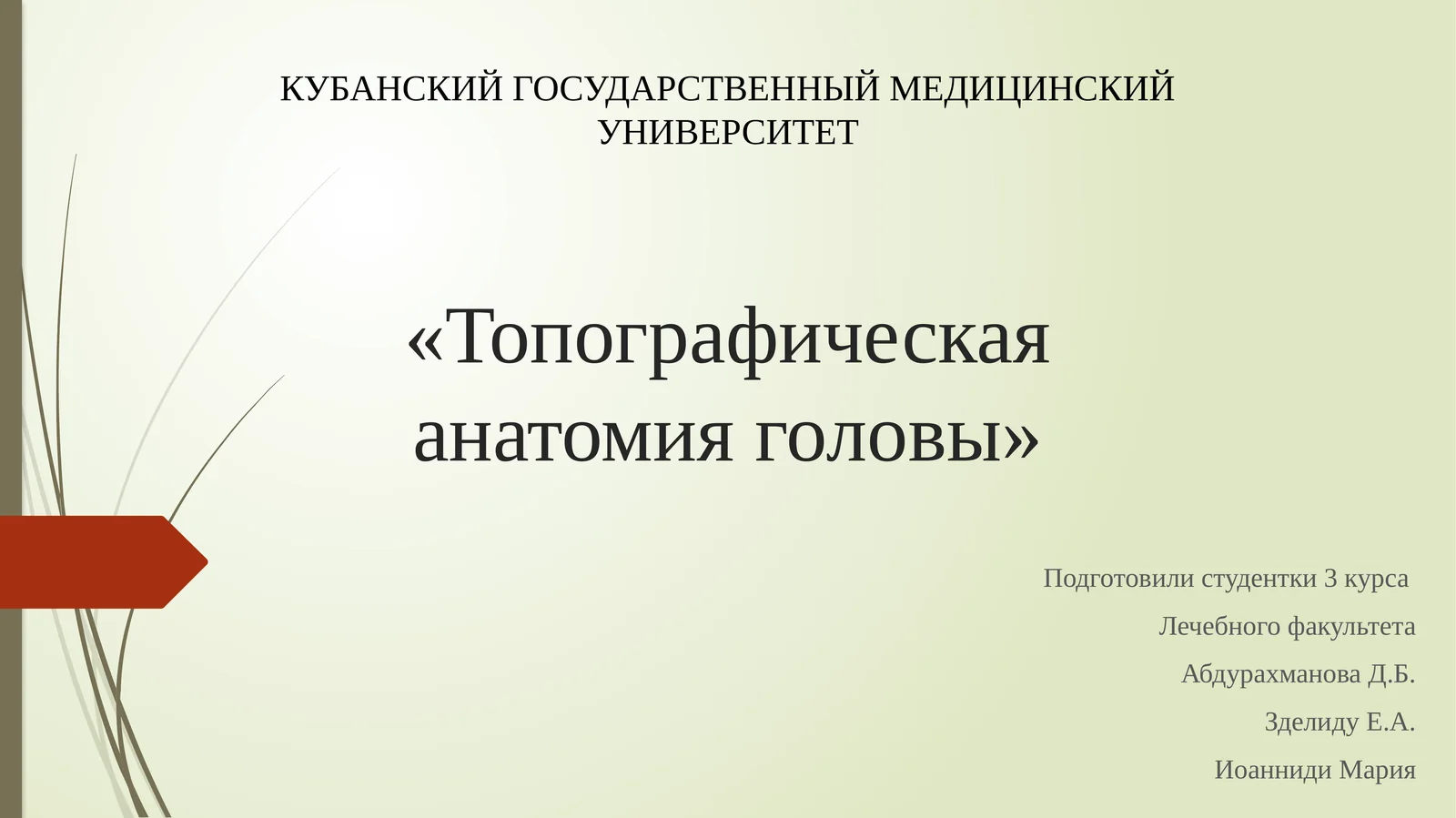 Топографическая анатомия головы