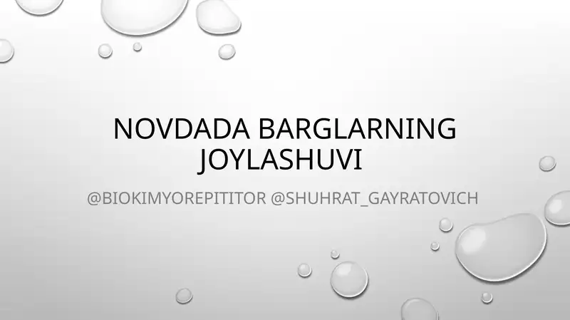 Novdada barglarning joylashuvi