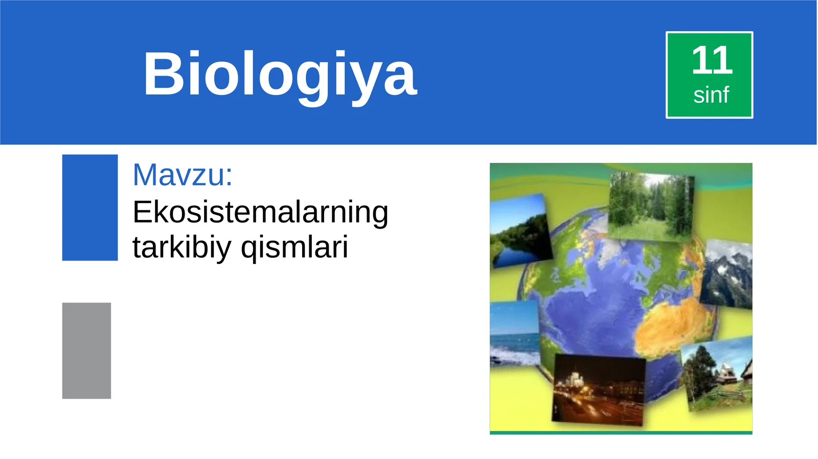 Biogeotsenoz Strukturasi