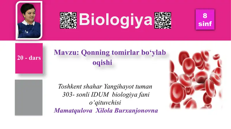 Qonning tomirlar bo‘ylab oqishi