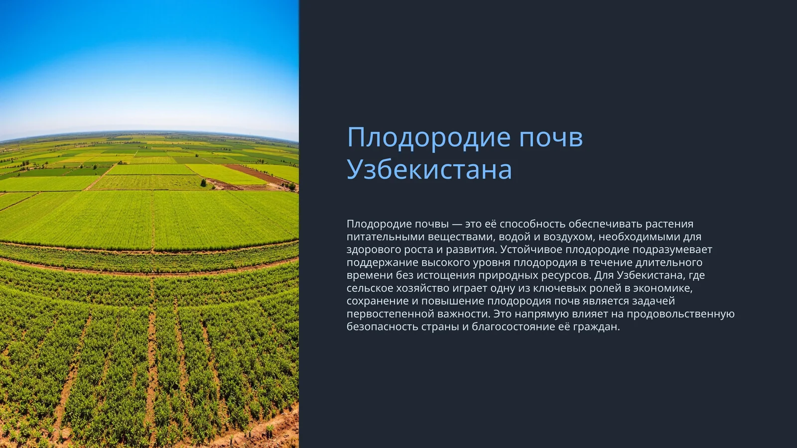 Плодородие почв Узбекистана